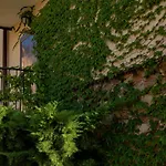 Menada Sunny Hill Villa